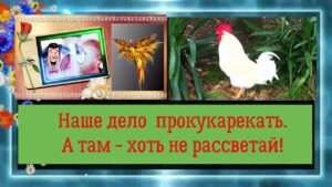 malo prokukarekat Значение поговорки 'Мало прокукарекать, надо обеспечить рассвет'