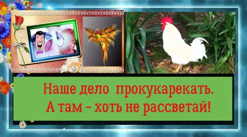 malo prokukarekat Значение поговорки 'Мало прокукарекать, надо обеспечить рассвет'